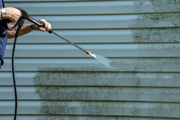 Best Deck Pressure Washing  in Hoyt Lakes, MN