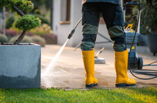 Best Deck Cleaning Services  in Hoyt Lakes, MN